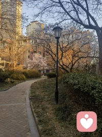 你看，风在摇树，云在追光，我在等你
没有急切的期待，只有温柔的笃定
你来了，我便递上一杯温茶
你没来，我便把心事说给风听
让它替我，思念吹到你身边。配图