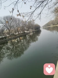 以前觉得理解很重要，现在发现睡眠才是王炸配图