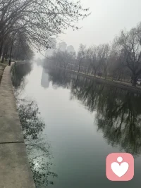 以前觉得理解很重要，现在发现睡眠才是王炸配图