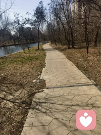 贪财有道，好色有品配图