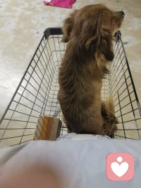 带着我的大乖取快递，你也有个乖乖陪着嘛配图