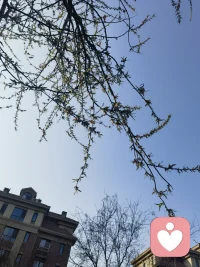 做一个有骨气的女人得对得起自己内心的那份骄傲，在自己的世界里独善其行，在他人的世界里顺其自然配图