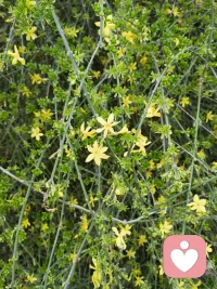 做一个有骨气的女人得对得起自己内心的那份骄傲，在自己的世界里独善其行，在他人的世界里顺其自然配图