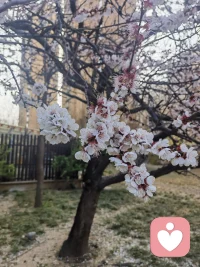 做一个有骨气的女人得对得起自己内心的那份骄傲，在自己的世界里独善其行，在他人的世界里顺其自然配图