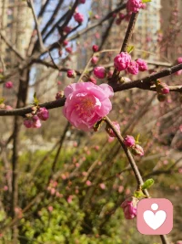 做一个有骨气的女人得对得起自己内心的那份骄傲，在自己的世界里独善其行，在他人的世界里顺其自然配图