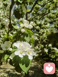 成年人的尊重，都藏在“仅自己可见里”，没有撞坏的南墙，是不撞一下心不甘。