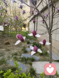 成年人的尊重，都藏在“仅自己可见里”，没有撞坏的南墙，是不撞一下心不甘。