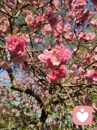 成年人的尊重，都藏在“仅自己可见里”，没有撞坏的南墙，是不撞一下心不甘。