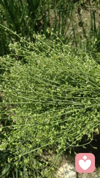 做倾听师越久，越明白一个道理：
真正的倾听，从来不是改变你，而是陪着你，看见你。
累了就停一停，不用逼自己坚强，不用急着往前走。
在我这里，你的感受，永远最重要。
如果你也需要一个安全的角落，我一直都在。✨