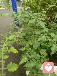 痛苦需要被看见，困惑需要被梳理，成长需要被陪伴。
倾听的意义，是和你在一起，让改变自然发生。
