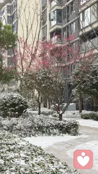 大寒宜藏，宜静，宜待春。
我愿做那个陪你守候冬尽的人，
听你说说这一年的风雪与霜，
也陪你静静期待，
下一个季节，你心中那些冻结的故事，
会如何融化成一溪春水，缓缓流动