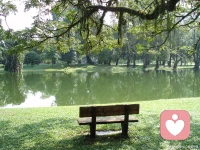 心大了，事就小了，加油配图