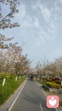 心情不好的时候就出门跑步吧，一路奔跑、一路风景，活力满满