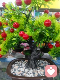 心很贵，所以要装美好的东西，情绪也很贵，所以要让自己开心。配图