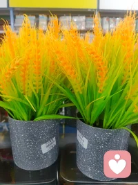 题目：《婚姻最好的样子：不是搭伙，而是余生》
 
有人说，婚姻是一座围城，城外的人想进去，城里的人想出来。
 
也有人说，婚姻是爱情的坟墓，一旦走进柴米油盐，浪漫就会被消磨殆尽。
 
但我觉得，婚姻更像是一场**“两个人的修行”**。它没有我们想象中那么神圣不可侵犯，也没有那么不堪一击。它是琐碎的，也是温暖的；它是一地鸡毛，也是万家灯火。
 
01 婚姻的真相，是“琐碎”
 
恋爱的时候，我们看到的是对方的优点：他的幽默，她的温柔，他的才华，她的美丽。那时候，我们隔着距离，把对方想象成了完美的化身。
 
可婚姻是什么？
婚姻是你早上起床没刷牙的样子，是他把脏袜子乱扔的习惯，是为了谁洗碗而发生的拌嘴，是为了孩子报哪个补习班而产生的争执。
 
婚姻的真相，就是把“风花雪月”变成“柴米油盐”。
它剥去了爱情华丽的外衣，露出了生活最真实的肌理。
 
如果你以为婚姻里全是鲜花和掌声，那你一定会失望。因为绝大多数时候，婚姻是平淡的，是重复的，是甚至有些枯燥的。
 
02 婚姻的本质，是“包容”
 
在这个世界上，没有两个完全相同的人。
来自不同家庭、不同成长背景的两个人，要在同一个屋檐下生活几十年，摩擦和矛盾是不可避免的。
 
好的婚姻，不是两个人永远不吵架，而是吵架之后，依然愿意为了对方低头。
 
真正的爱，不是因为你完美我才爱你，而是我明明知道你有很多缺点，明明知道你会发脾气、会懒惰、会脆弱，但我依然选择留在你身边。
 
婚姻里最难得的，不是一见钟情，而是日久生情后的不离不弃。
是当你累了一天回家，看到那盏为你留的灯；是当你生病卧床时，那个为你端水喂药的人。
 
03 婚姻的意义，是“陪伴”
 
人这一辈子，会遇到很多人。
有些人陪你走一段路，有些人陪你走一阵子，而只有一个人，会陪你走完余生。
 
婚姻的意义，不仅仅是找个人一起过日子，更是找一个能和你同频共振的人。
 
在这个快节奏、高压力的社会里，我们每个人都在负重前行。
有时候，我们不需要对方多么有钱、多么有本事，我们只需要在我们崩溃的时候，有一个人能抱抱我们，说一句：“别怕，有我在。”
 
最好的婚姻关系，不是“我养你”，也不是“你养我”，而是“我们一起努力”。
是你很好，我也不差。我们在这个充满不确定性的世界里，给了彼此一份确定的安全感。配图