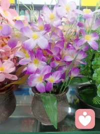 把心静下来
01 像洗澡一样，把心洗干净
你可以试着做一个动作：
深吸一口气，然后用力地、长长地吐出来。
想象一下，随着这口气，那些让你不舒服的画面、那些刺耳的话语、那些阴暗的念头，统统都被你吐了出去，散落在风里，消失不见了。
 
你可以去洗个热水澡，或者洗把脸。
水流过皮肤的感觉，是在帮你做**“能量净化”**。
洗完之后，你就是全新的你，干干净净，清清爽爽。
 
02 去感受一点“人间烟火气”
不要一个人闷着。
去厨房煮一碗热腾腾的面，加个荷包蛋；
或者去楼下的便利店，买一支喜欢吃的冰淇淋；
再或者，打开窗户，看看外面的天空，哪怕只是一朵云，一阵风。
 
你要去感受那些具体的、真实的、美好的东西。
告诉自己：
“看，这才是生活的真相。温暖、踏实、有味道。”
 
03 你值得被温柔以待
这两天，你一直在温柔地对待别人，哪怕对方并不值得。
那么从现在开始，请把这份温柔，留给自己。
 
你不需要拯救全世界，也不需要理解所有的变态。
你只需要做你自己——那个善良、可爱、努力生活的你。
 
今晚，早点睡。
做一个甜甜的梦，梦里没有那些乱七八糟的咨询，只有阳光、大海和你喜欢的一切。
 
明天醒来，又是崭新的一天。
你依然是那个闪闪发光的倾听师，你的世界依然美好。配图