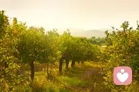  
 
美好的心灵世界
 
01 那里有一座花园
在这个心灵世界里，没有争吵，没有算计，没有冷漠。
只有一座开满鲜花的花园。
你看，那里的玫瑰开得热烈，象征着爱与勇气；
那里的百合开得洁白，象征着纯洁与善良；
那里的向日葵永远朝着太阳，象征着希望与乐观。
 
只要你愿意走进来，花香就会扑面而来，让你忘记所有的疲惫。
 
02 那里有一片星空
当现实的黑夜降临，当你感到孤独无助的时候，
抬头看看你的心灵世界，那里有一片璀璨的星空。
每一颗星星，都是你曾经帮助过的人，都是你曾经做过的一件好事，都是你心中的一个梦想。
 
它们虽然微小，却汇聚成了浩瀚的银河，照亮你前行的路。
告诉你：你并不孤单，你值得被爱。
 
03 那里有一座城堡
这座城堡的墙壁，是用**“坚强”砌成的；
城堡的大门，是用“宽容”守护的；
城堡里的宝藏，是用“感恩”**积累的。
 
在这座城堡里，你可以卸下所有的伪装，做最真实的自己。
你可以大哭，可以大笑，可以发呆，可以做梦。
这里是你灵魂的避风港，永远为你敞开。
 
04 美好，是一种选择
也许现实生活中，我们会遇到风雨，会遇到荆棘，会遇到不理解。
但这并不妨碍我们拥有一个美好的心灵世界。
 
因为美好，不是一种状态，而是一种选择。
 
选择在逆境中看到希望，
选择在冷漠中传递温暖，
选择在喧嚣中守住宁静。

愿你的心灵世界，
永远有鲜花盛开，
永远有星光璀璨，
永远有温暖相伴。
 
当你内心足够美好时，
你会发现，
窗外的雨也是美的，
路边的草也是绿的，
连擦肩而过的陌生人，
都变得可爱了起来。配图