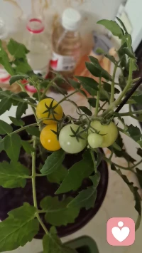 人心情难过的时候就最下来静静的待会，当你静下来了，心态自然就变了配图