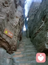 为什么痛苦也是一种“舒适区”？

它是自我在当时有限的资源下，为了避免更大的心理崩溃而能找到的最佳解决方案。

心灵最深层的渴望或许不是狂喜，而是安宁与安全。那些看似坚不可摧的，病态的，甚至痛苦的症状堡垒，其实是脆弱灵魂为自己搭建的避难所。配图