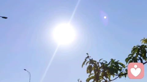 原生家庭的影响