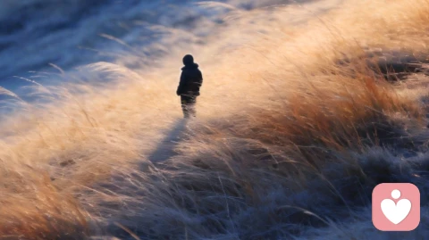 当沉默成为爱人之间最遥远的距离