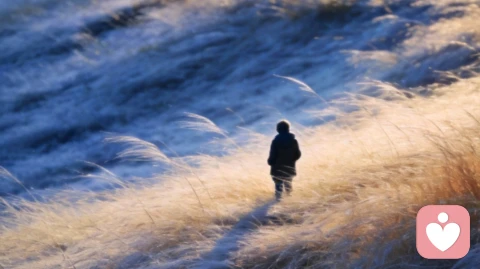 既然离开了,还要什么理由