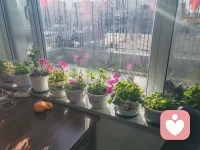 人啊，为啥活的这么累？究其原因是自己活的不通透。
曾几何时年轻的时候，心智不成熟，没有任何社会经验，人到中年了要懂得进退，懂得感恩所有值得你感谢的人，值得你爱的人，让自己的生活丰富多彩些，活的自然活的有价值，整天在无畏漩涡中纠缠，不如让自己冷静的思考一下，读读书在书中汲取智慧，不要和自己较真，也不必跟别人较真，心情舒畅，遇事不急，劳逸结合，不要被任何情绪影响自己，让健康心理主导自己的生活，抛开那些不愉快的烦恼，做自己的主人，才是活着不累的根本！配图