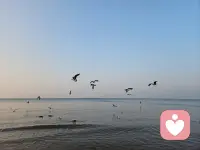 人啊，为啥活的这么累？究其原因是自己活的不通透。
曾几何时年轻的时候，心智不成熟，没有任何社会经验，人到中年了要懂得进退，懂得感恩所有值得你感谢的人，值得你爱的人，让自己的生活丰富多彩些，活的自然活的有价值，整天在无畏漩涡中纠缠，不如让自己冷静的思考一下，读读书在书中汲取智慧，不要和自己较真，也不必跟别人较真，心情舒畅，遇事不急，劳逸结合，不要被任何情绪影响自己，让健康心理主导自己的生活，抛开那些不愉快的烦恼，做自己的主人，才是活着不累的根本！配图