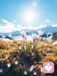 圈子决定人品格局
一、隐形的模具：你未曾察觉的塑造力
心理学上有一个概念叫同伴效应——个体的行为、认知甚至性格，都会在潜移默化中被身边的人影响。这并非玄学，而是刻写在我们大脑里的本能。
神经科学研究发现，人类大脑中存在一种特殊的神经元——镜像神经元，它会无意识地模仿身边人的行为模式。就像一块海绵，你浸泡在什么样的环境里就会吸收什么样的水分。伦敦大学的实验进一步证明，长期接触高能量人群，你的大脑前额叶会变得更发达。这个区域恰恰负责决策力、专注力和自我控制。
换言之，优秀的朋友不仅能给你精神支持，还能从生理上改造你的大脑。
你有没有这样的经历？和积极向上的人在一起，你会忍不住跟着早起、读书、规划未来，哪怕偶尔偷懒，也会被他们的劲头带动着重新出发；和消极抱怨的人在一起，你会慢慢变得颓废、焦虑，原本充满干劲的自己，也会被这事根本办不成努力没用的话浇灭热情。
这就是圈子的力量：它能带你向上生长，也能拉着你向下沉沦。配图