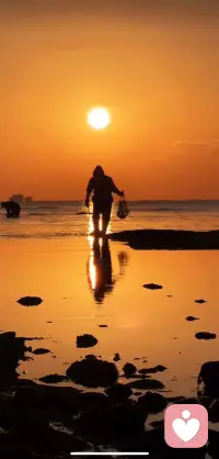 在这趟名为“人生”的旅途中，我们皆是时光里的行者。春去秋来，寒来暑往，四季的更迭是自然的刻度，而我们裹挟在岁月的洪流中，步履匆匆，从起点走向未知的远方。谁也无法精准描摹明天的模样，就像无法预料一场突如其来的雨，或是一阵不期而至的风。
 
但心态，恰似行囊里最珍贵的指南针。当我们揣着一份平和与坦然，便有了对抗无常的底气。炎热时，能寻得一片荫凉的惬意；寒冷时，能感受一杯热茶的暖意；即便遭遇病痛的侵扰，也能在与身体的对话中生出几分坚韧；面对死亡的终极命题，亦能因曾认真活过而少些遗憾。
 
人生的长度或许有限，但宽度与温度却由自己书写。把每个平凡的日子过得热气腾腾，在晨光里读一首诗，在黄昏时散一段步，与亲友分享一句暖心的话，为自己做一顿可口的饭。这般认真生活的模样，自会与清晨的第一缕阳光撞个满怀——它从不吝啬温暖，总会慷慨地洒在每一个热爱生活的人身上，照亮前路，也温暖心房。
 
所以，不必为未知忧心，只需专注当下。带着好心情奔赴每一个今天，时光便会以最温柔的方式，回馈我们一路的热忱。配图