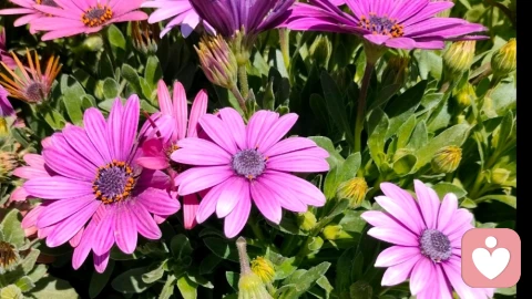 如何让两性关系更和谐