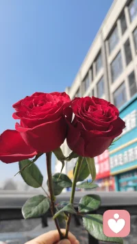 安静的等你配图