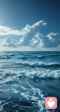 允许别人做别人，允许自己做自己，新的一天，新的开始！配图