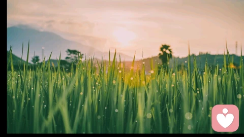 累了就告诉我，我一直都在听