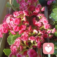 先疗愈自己，再好好爱人，关系才会舒服长久。