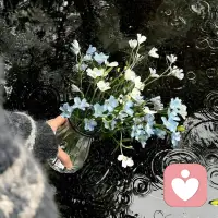 “别让任何人消耗你内心的晴朗，生活一定要被喜欢的人和事填满”配图