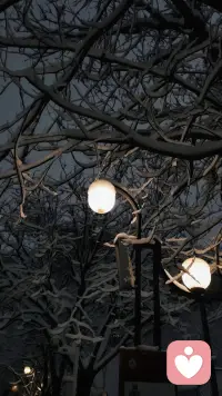 情绪很贵，要接触让自己愉悦的人，时间很贵，要和懂自己的人相处”配图