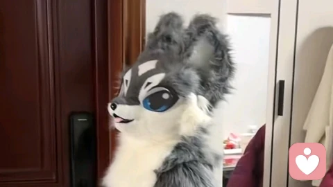 你被亲戚进行过服从性测试吗