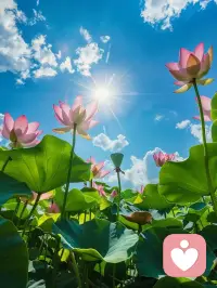 困扰人的不是事情本身，而是对事情的看法。