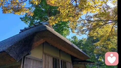 别让“创伤”成为你躺平的理由