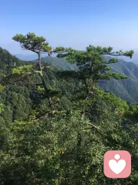 激情褪色后的感情如何维护

首先每一段感情和婚姻都会经历从新鲜感，热恋，依赖，逐步过渡到习惯，冷淡，最后发展成疲倦无感，这都是属于一个事物的正常规律，无须恐慌！那怎么做才能维系呢？ 1，要先判断这种情况的持续时间，也就是说找到一个时间节点，由此来找出情感变化初期的一个导向； 2，找出这个节点，我们就可以判断出导致感情冷淡的症结所在，比如：是因在激情过后双方的默契感缺失，不再顾及对方感受。或者经济和生活模式有了大的改变而导致精力消耗，无暇顾及。再就是有一方出现了感情上的背叛等； 3，明确了原因，那接下来就要权衡利弊，给自己一个重新选择和接受的导向！因为很多人在感情中都会不自觉钻牛角尖。所谓当局者迷，就是这样。存在一些主观意识，把一些正常的变化扭曲夸大，陷入一种错误的认知当中，致使关系越来越糟糕，直至不可修复！ 4，其实我们很多时候走着走着就忘记了曾经初衷，也忽略了对方的付出！这时候可以多回忆一下感情初期彼此给对方带来的欢愉和感动，也想想自己曾经的所作所为和现在有什么区别！一个炉子长期不给添柴，温度总是会下降的！感情更是如此，需要不断的增添热能！