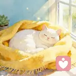 聆风知意的头像