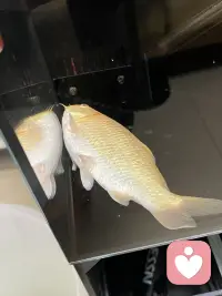 加油加油💪💪

不用急着活跃，先好好待着，有人陪着你呢，这就是最好的底气啦。