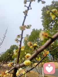 允许一切发生，也允许自己慢慢来。