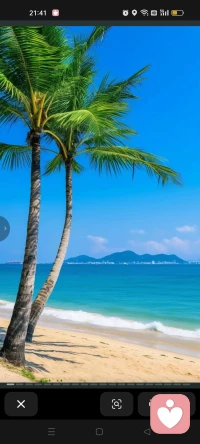 你相信什么，你就会持续吸引什么，信念是人格的底层代码。配图