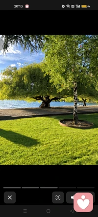 珍惜当下，接受无常，才能在离别后，留一份体面给自己，留一份念想给对方。配图