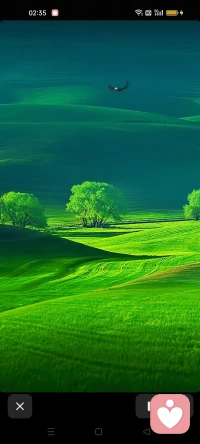 不必急着奔赴目的地，温柔的风，也会带来好消息。配图