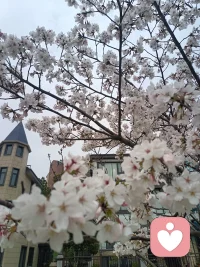 成年人最顶级的自律，是停止向内消耗。不必向所有人解释自己，懂你的人自然懂，不懂的多说无益，放过自己，世界才会温柔。