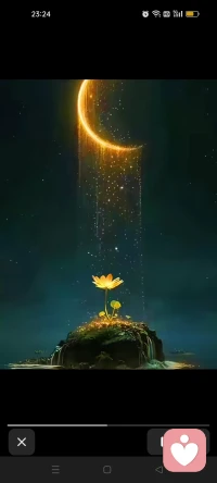 世间万物皆可有，唯有懂字最难求。在这个物欲横流的世界里，我们总是渴望能够遇到真正懂自己的人，但却忘了，人与人之间的悲欢并不相通，每个人都活在自己的认知里，又怎么能真正的与你感同身受呢？让别人去理解你，本身就是一件不正常的事情。