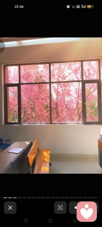 有人喜欢吃辣椒，是因为辣椒辣，有人不喜欢吃，也是因为辣椒辣。所以生活没有标准，只是立场不同，选择不同罢了。